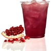 image:imageNicole Home Collection 100 Sets  16 oz Clear PET Plastic Cups with Lids and Straws Sturdy amp Food Safe Iced Coffee Cups Disposable Smoothie Cups for Cold DrinksClear