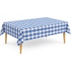 Blue Gingham Checkered