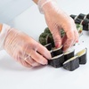 image:imageNicole Home Collection Vinyl Gloves  Universal Size  Latex Free  Powder FreeClear